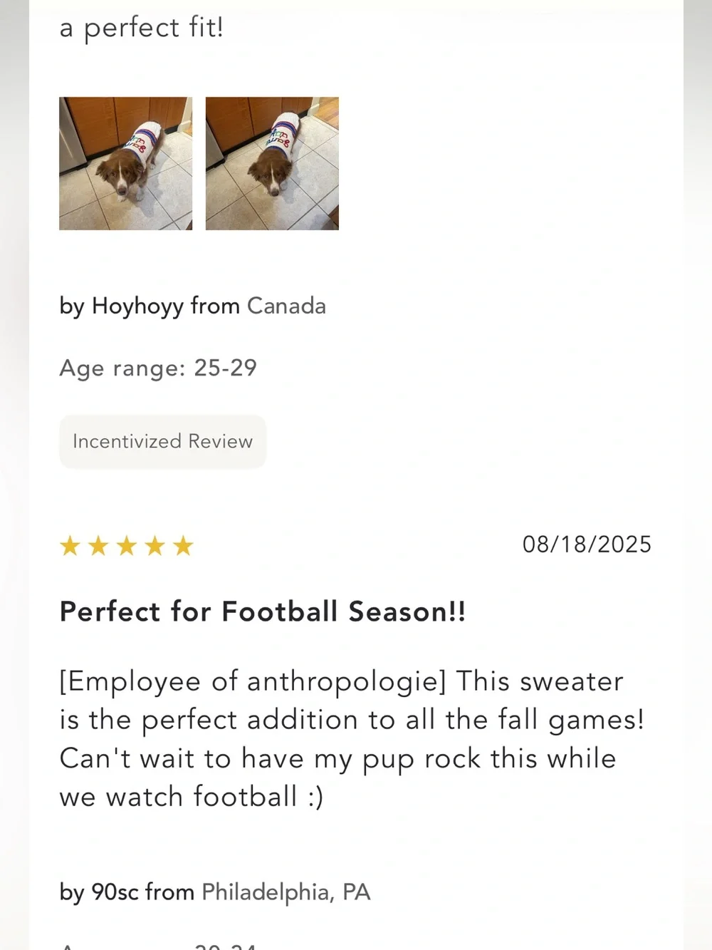 Anthropologie Cream Knit Dog Sweater with Red & Blue Stripes